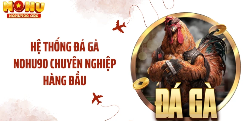 Hệ thống đá gà NOHU90 chuyên nghiệp hàng đầu
