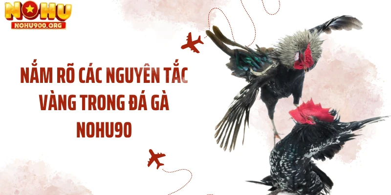 Nắm rõ các nguyên tắc vàng trong đá gà NOHU90